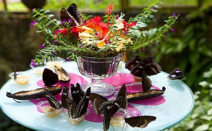 Отдых 2025 на Пхукете — удивительном острове Таиланда